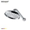 Bát sen cây Bravat Shower Head Set D279CP-ENG